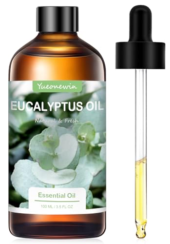 Eukalyptus L 100 Ml Reines Therische Le Aus